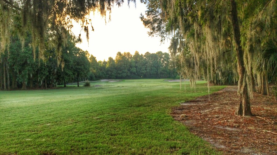 Island golf course at Innisbrook