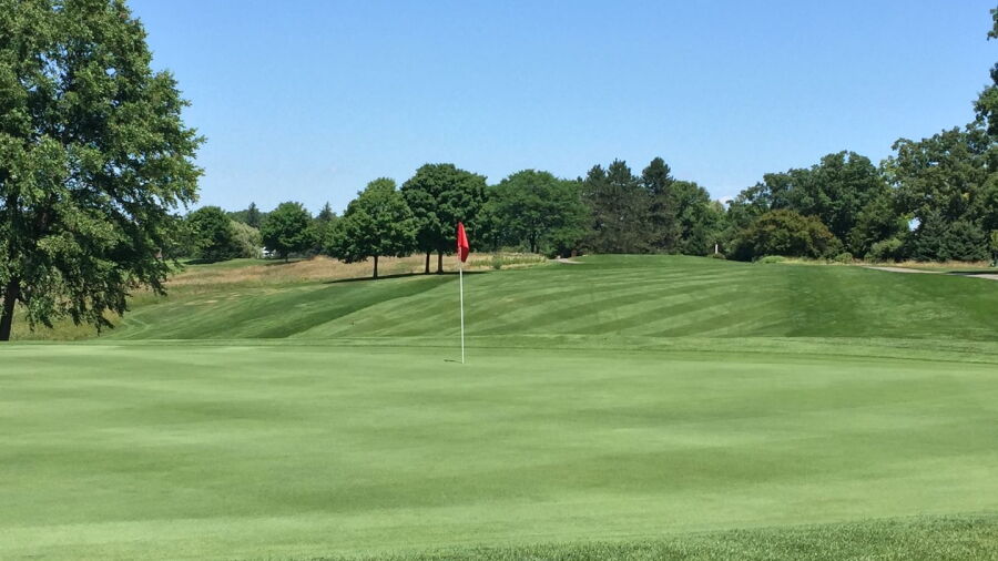 Huron Meadows: #3