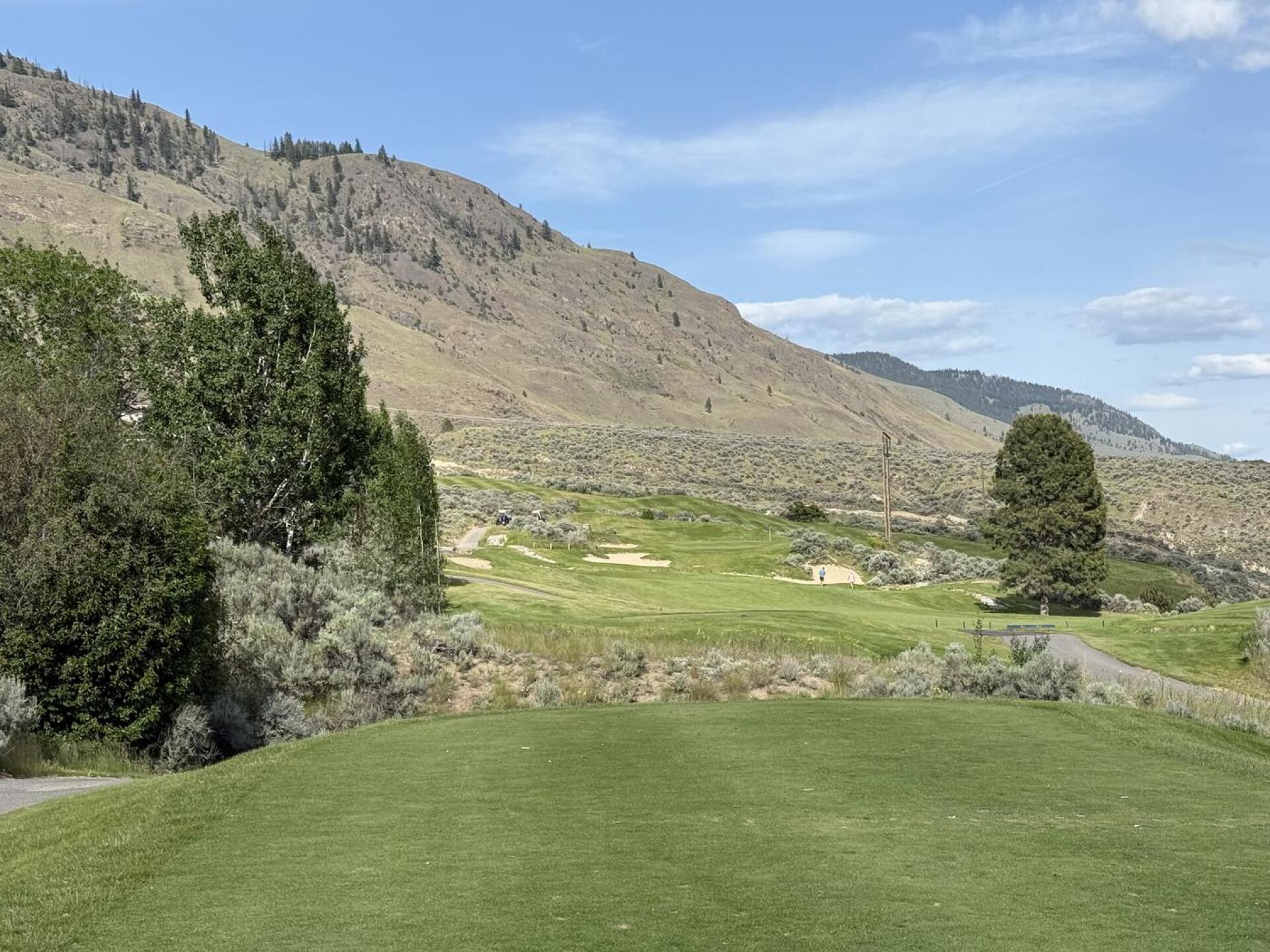 (Photo submitted by slimschadey16 on 05/27/2025)