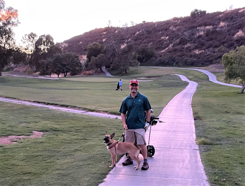 Dogs on the golf course 