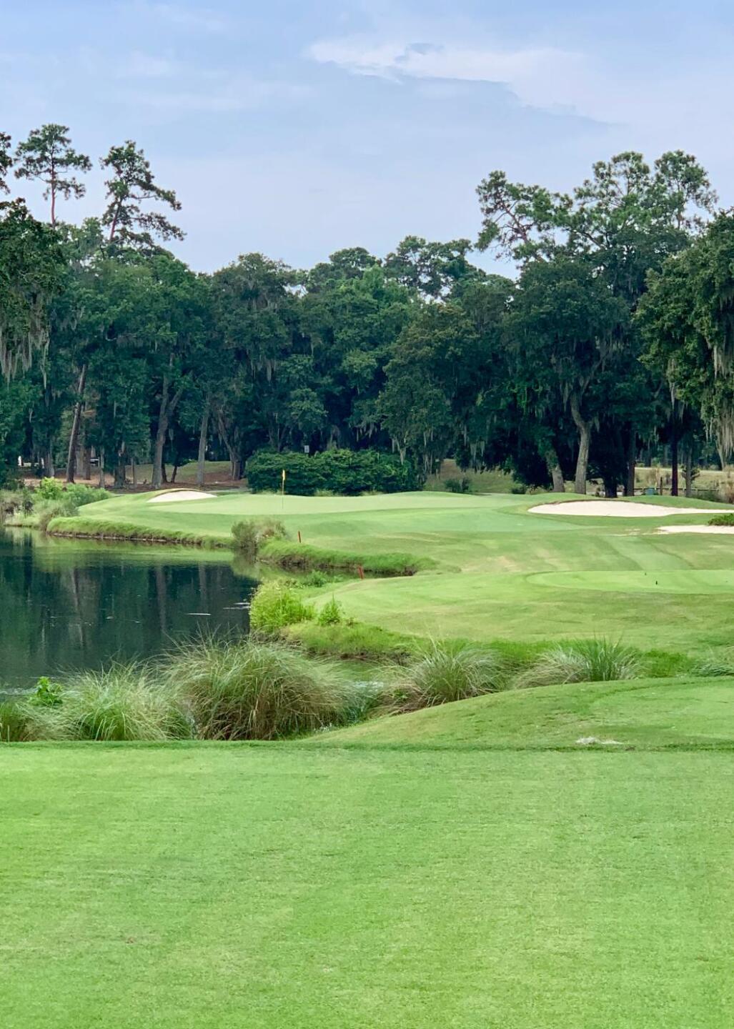 (Photo submitted by MichaelLowe on 07/07/2019)