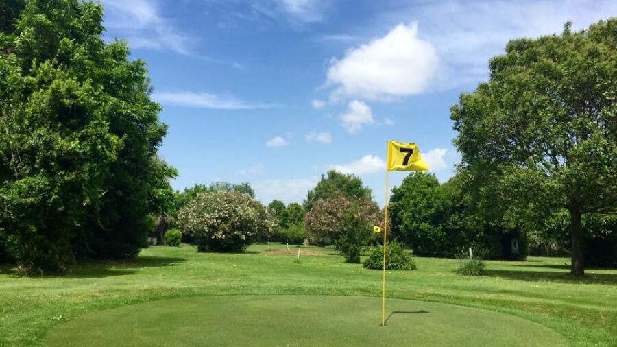 Maggiolino GC: #7, #4