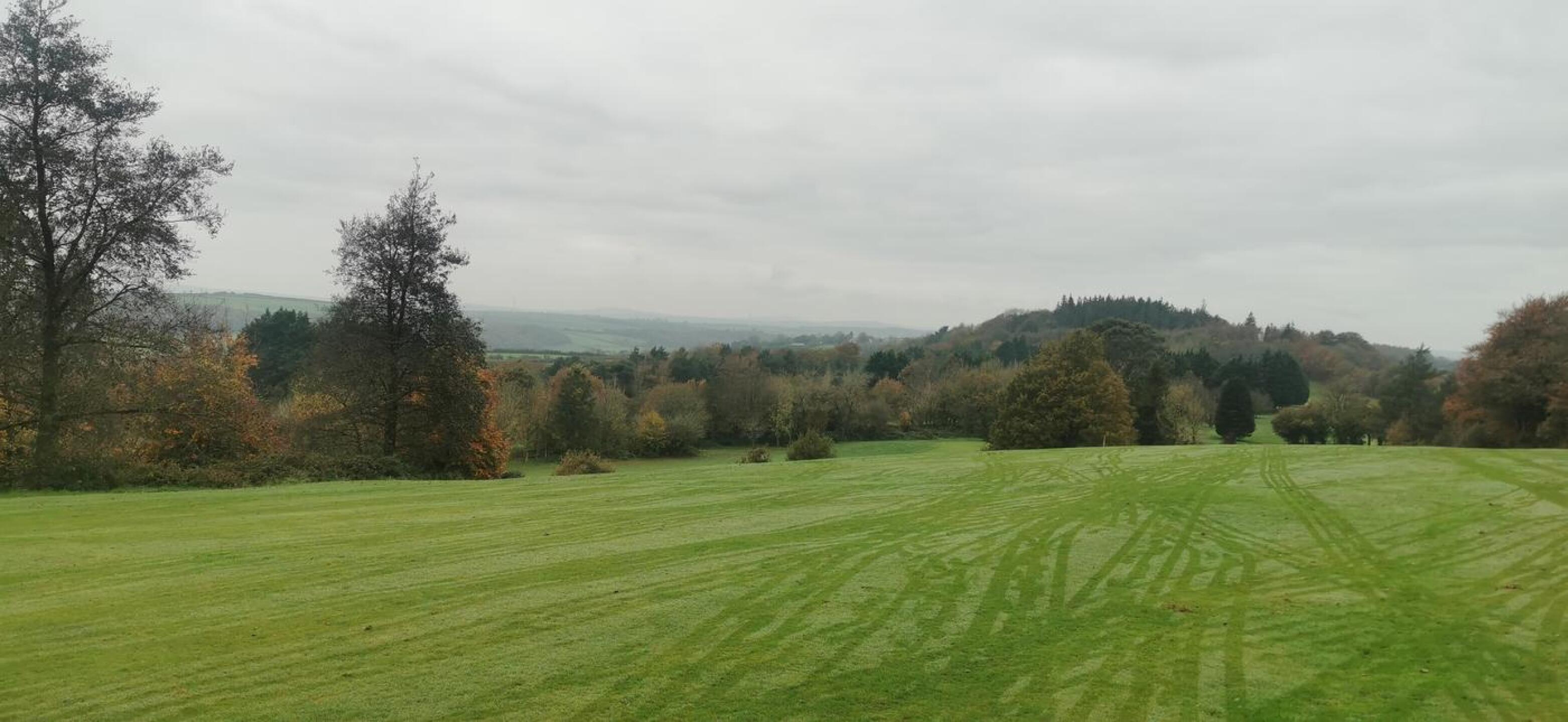 (Photo submitted by sfunSz2sRDllr2t6zkkH on 11/11/2024)