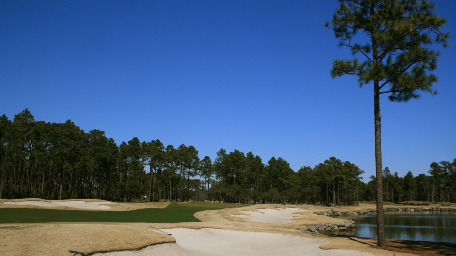 Tiger's Eye Golf Links at Ocean Ridge Plantation - No. 8