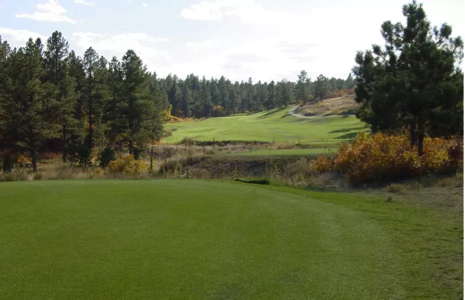 The GC at Bear Dance: #8