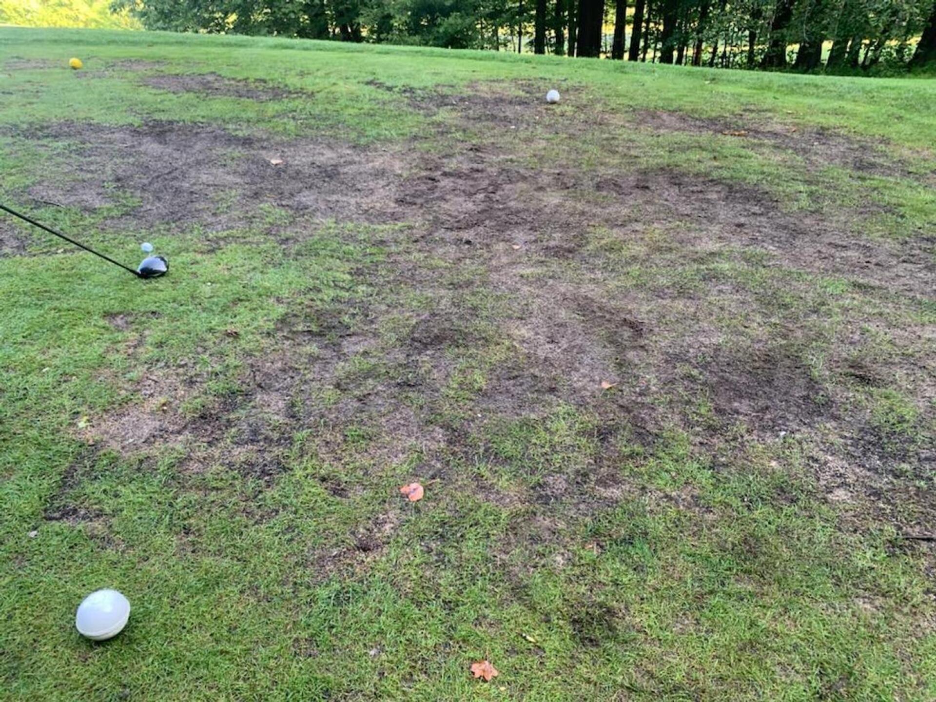 EVERY TEE BOX IS LIKE THIS ON GOLD COURSE .. (Photo submitted by u314159620774 on 07/27/2025)