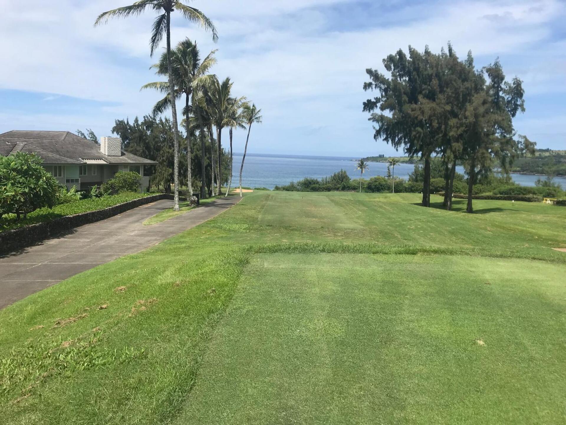 (Photo submitted by SapientCritic on 09/26/2018)