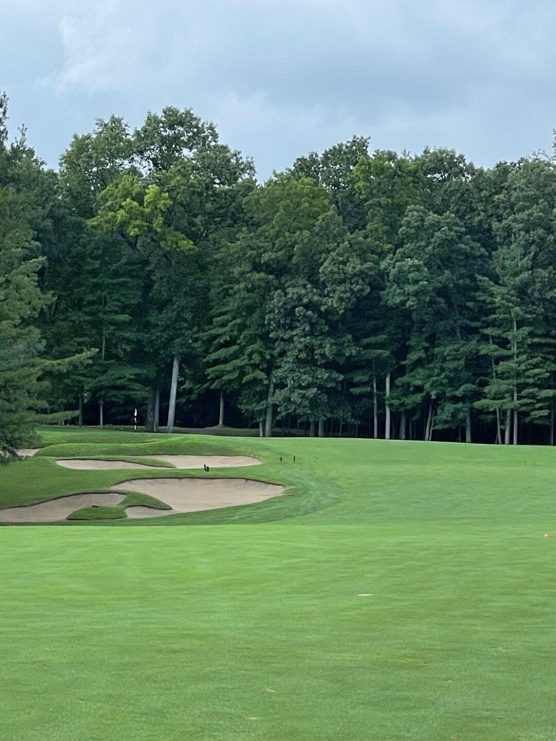 (Photo submitted by u114721692 on 10/18/2021)