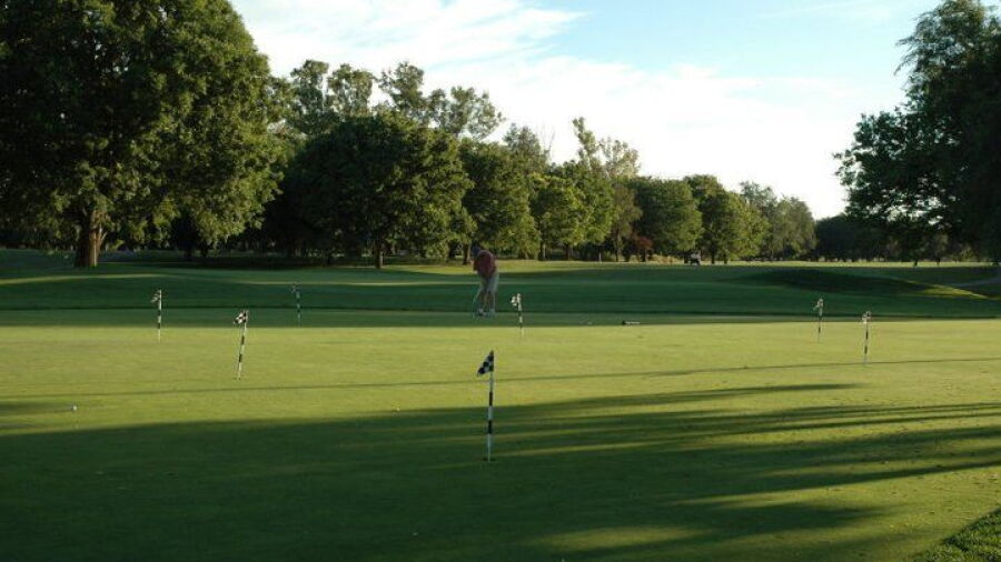 Bing Maloney GC: Practice area