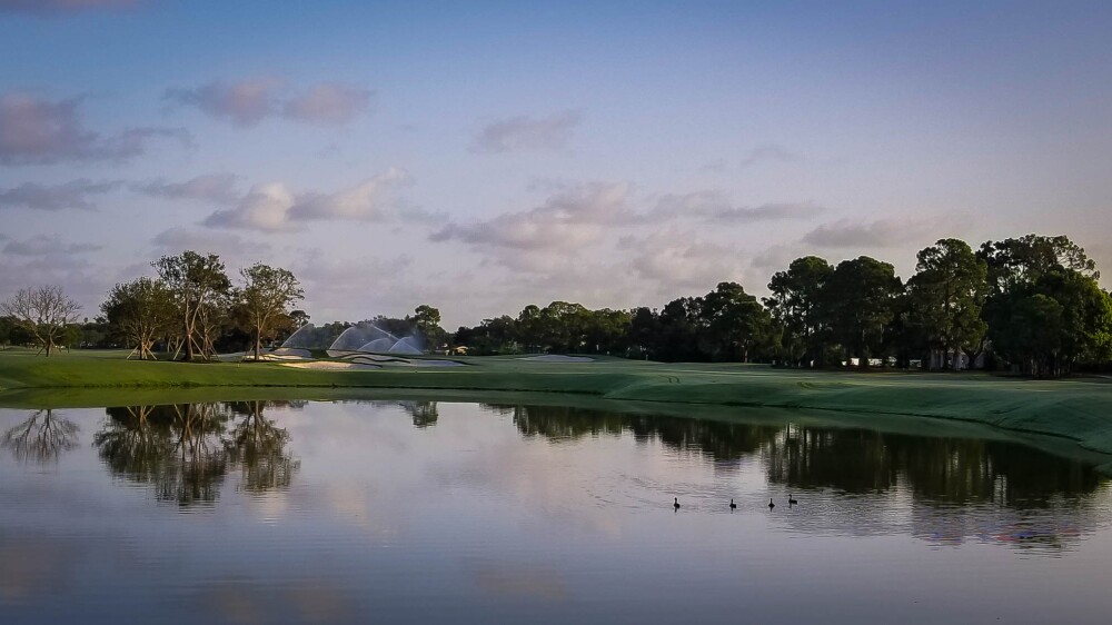 Pelican GC