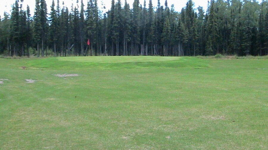 Bird Homestead GC: #4
