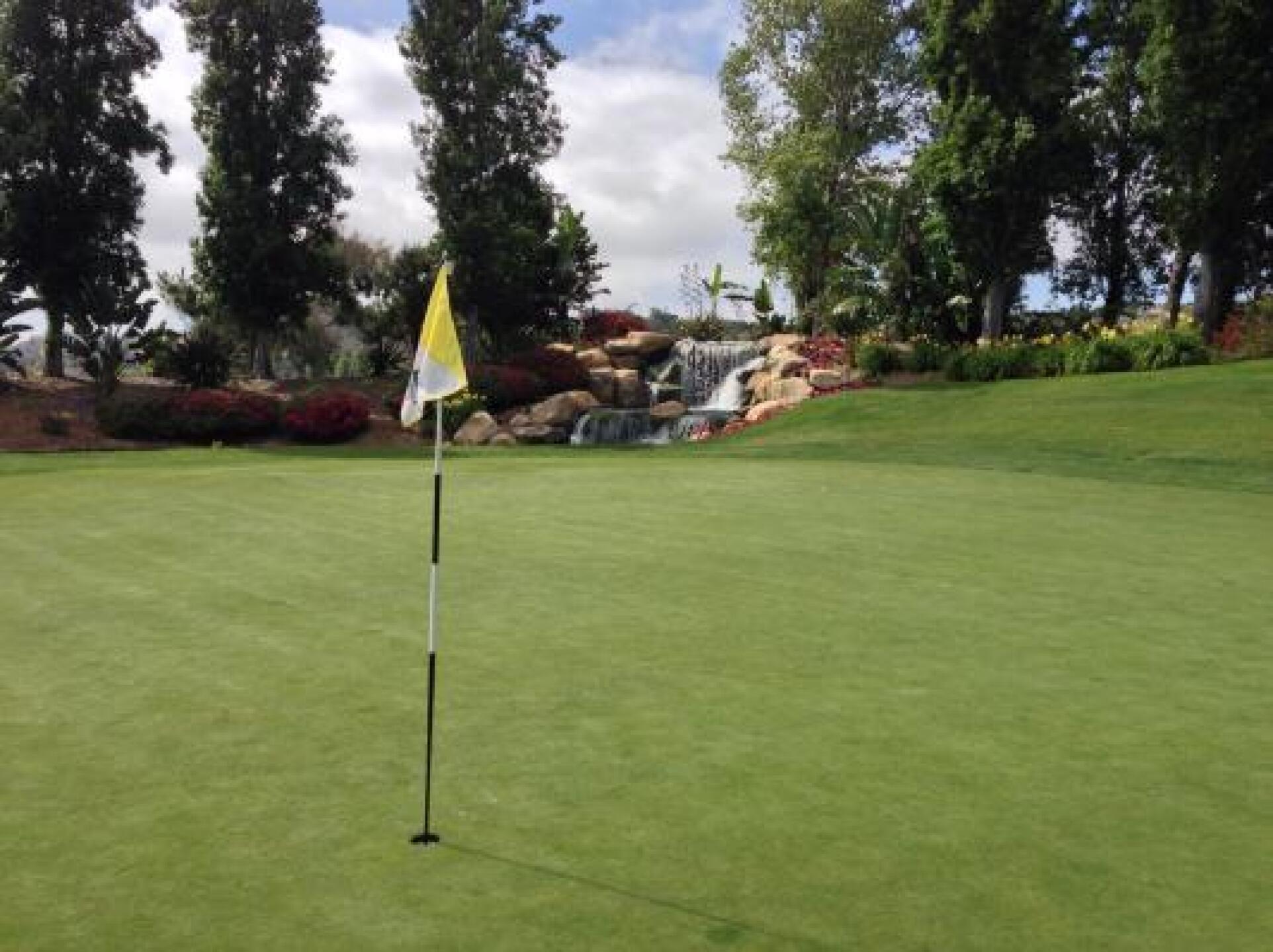 (Photo submitted by donald2142335 on 06/04/2013)