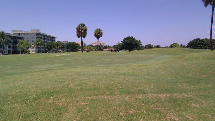 Palm-Aire CC - Palms: #8