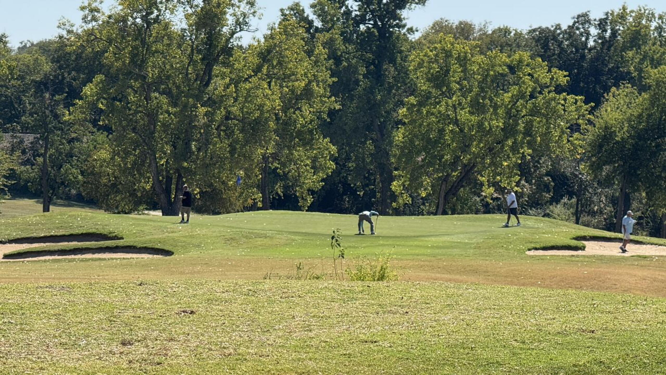 4 of the 5 (guy#5 is waayyy left off the green) (Photo submitted by u000007076871 on 10/16/2025)