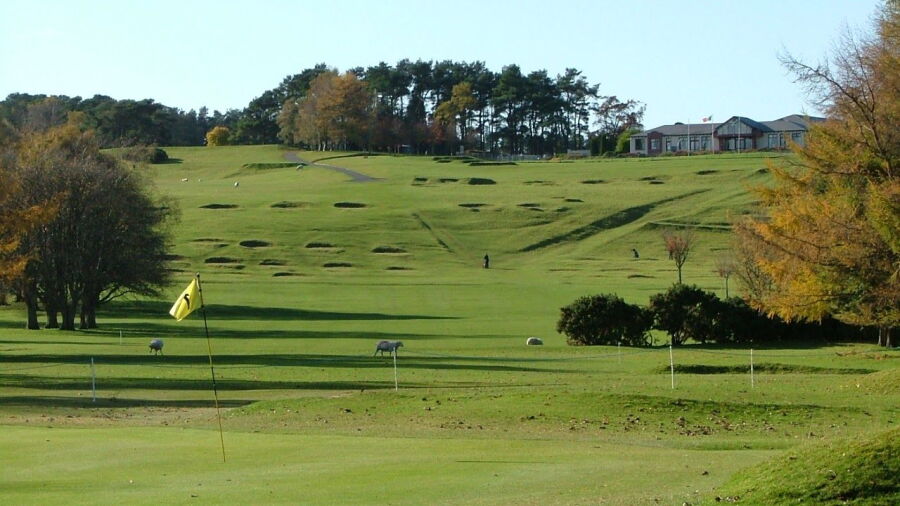 Royal Curragh GC: #1