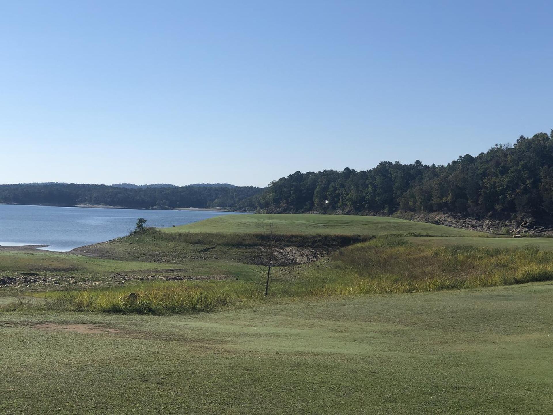 16 green (Photo submitted by u729694694 on 10/03/2021)