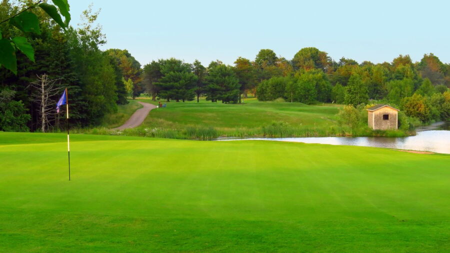 Amherst GC: #4