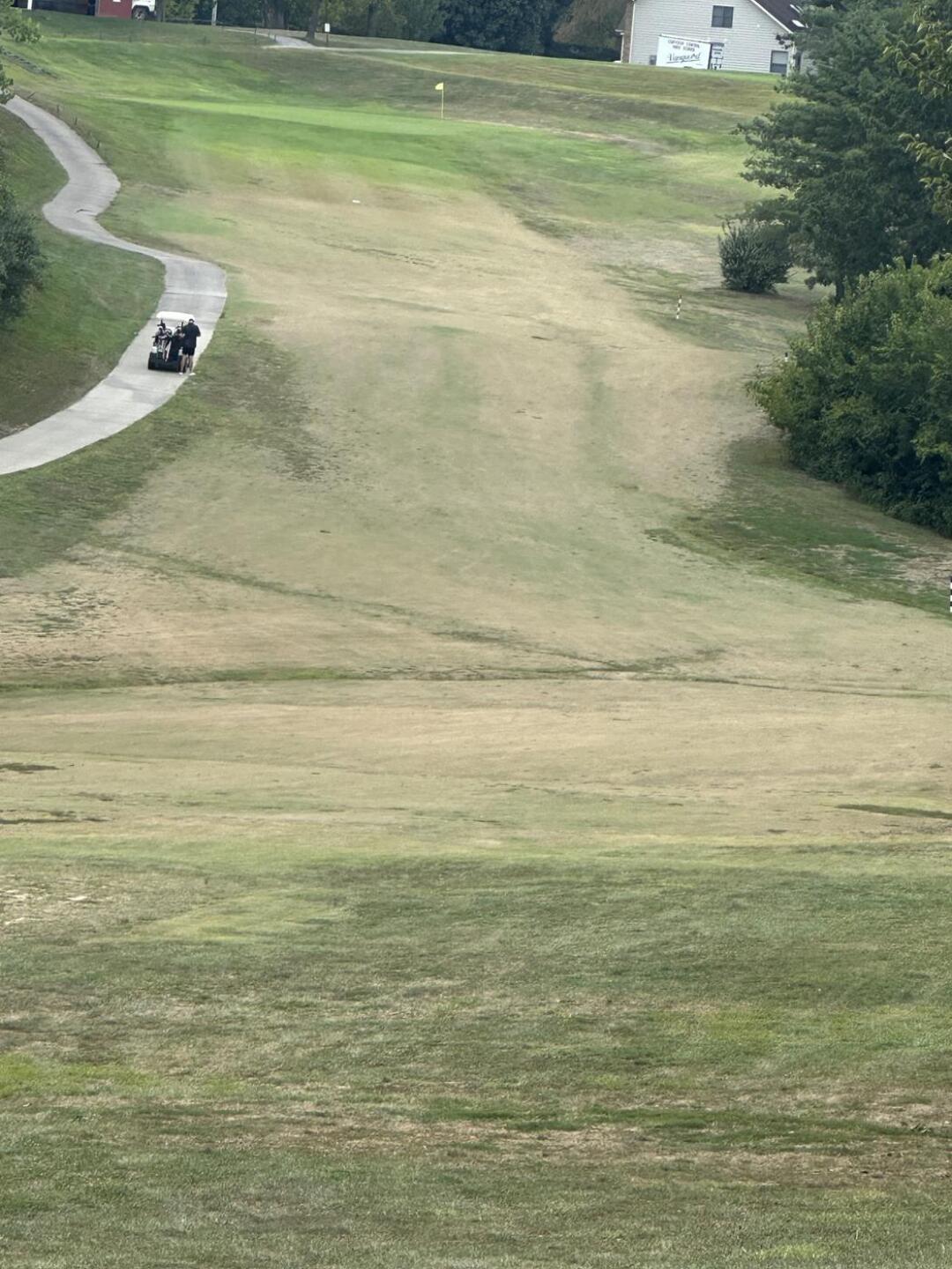 (Photo submitted by u939222555 on 08/31/2025)