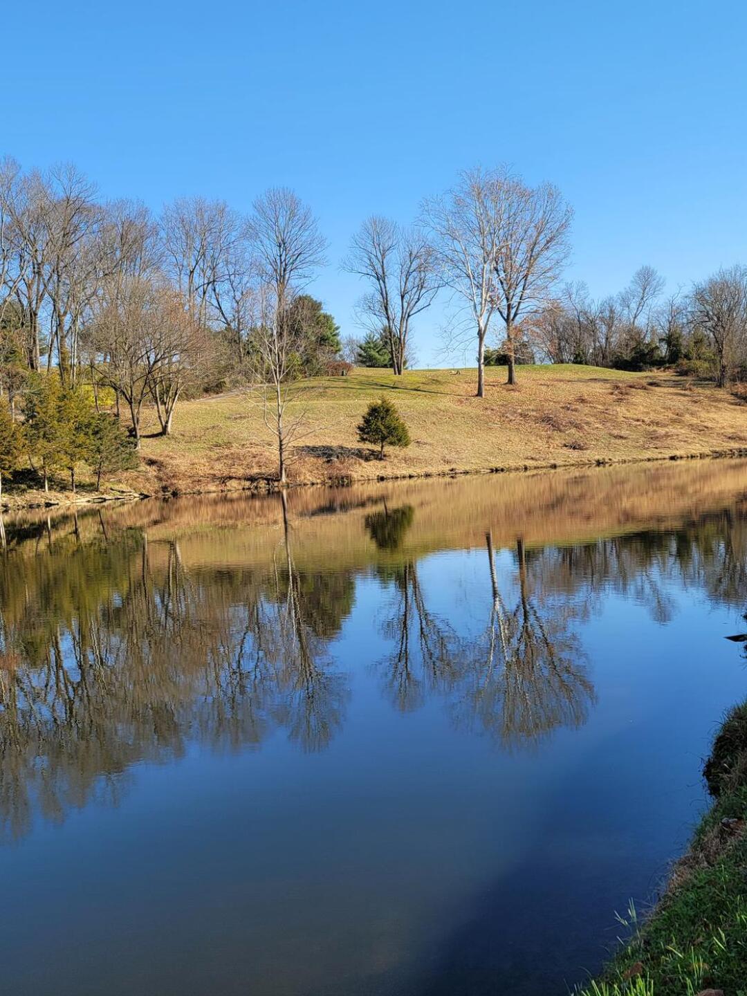 You'll believe a man can truly fly... maybe! (Photo submitted by Airantisubron24 on 12/06/2021)