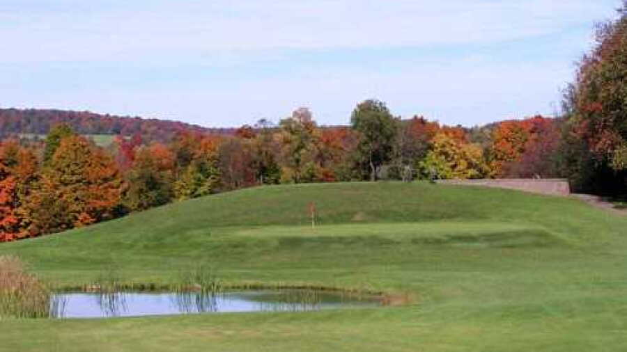 Elm Tree GC: #11
