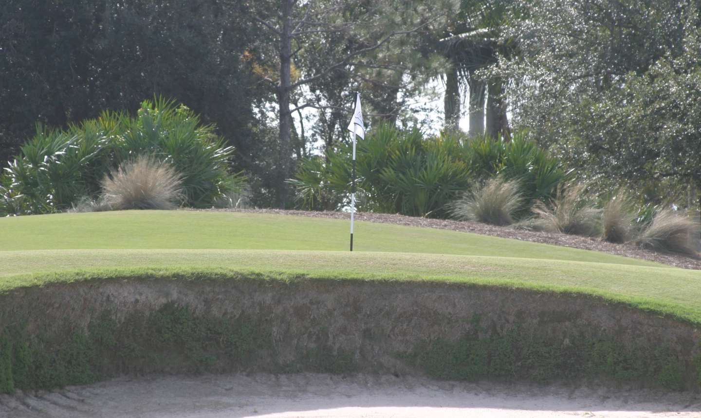 Tiburon Golf Club - Gold course