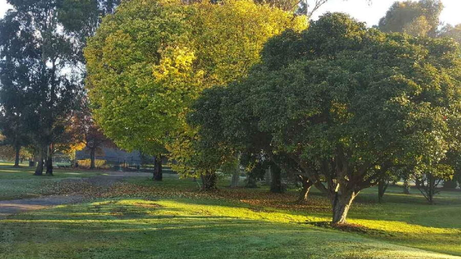Glen Waverley GC