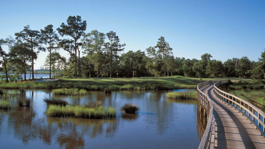 Gray Plantation: #6