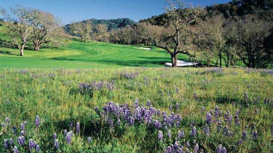 Preserve GC: #4