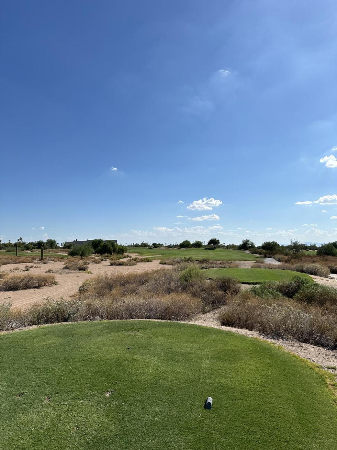 (Photo submitted by Teesmaker on 08/14/2024)