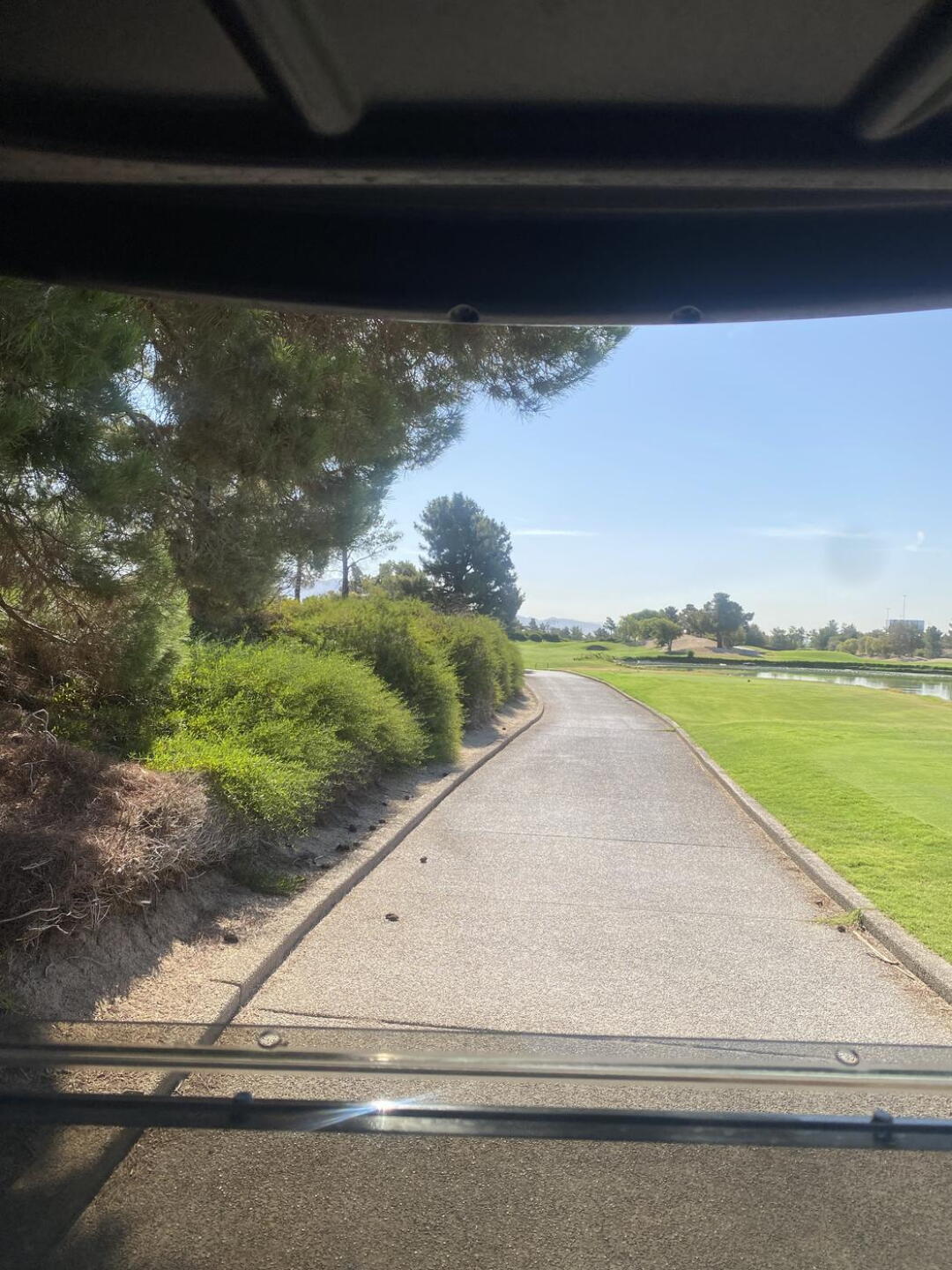 Next Tee (Photo submitted by captainron1965 on 08/06/2024)
