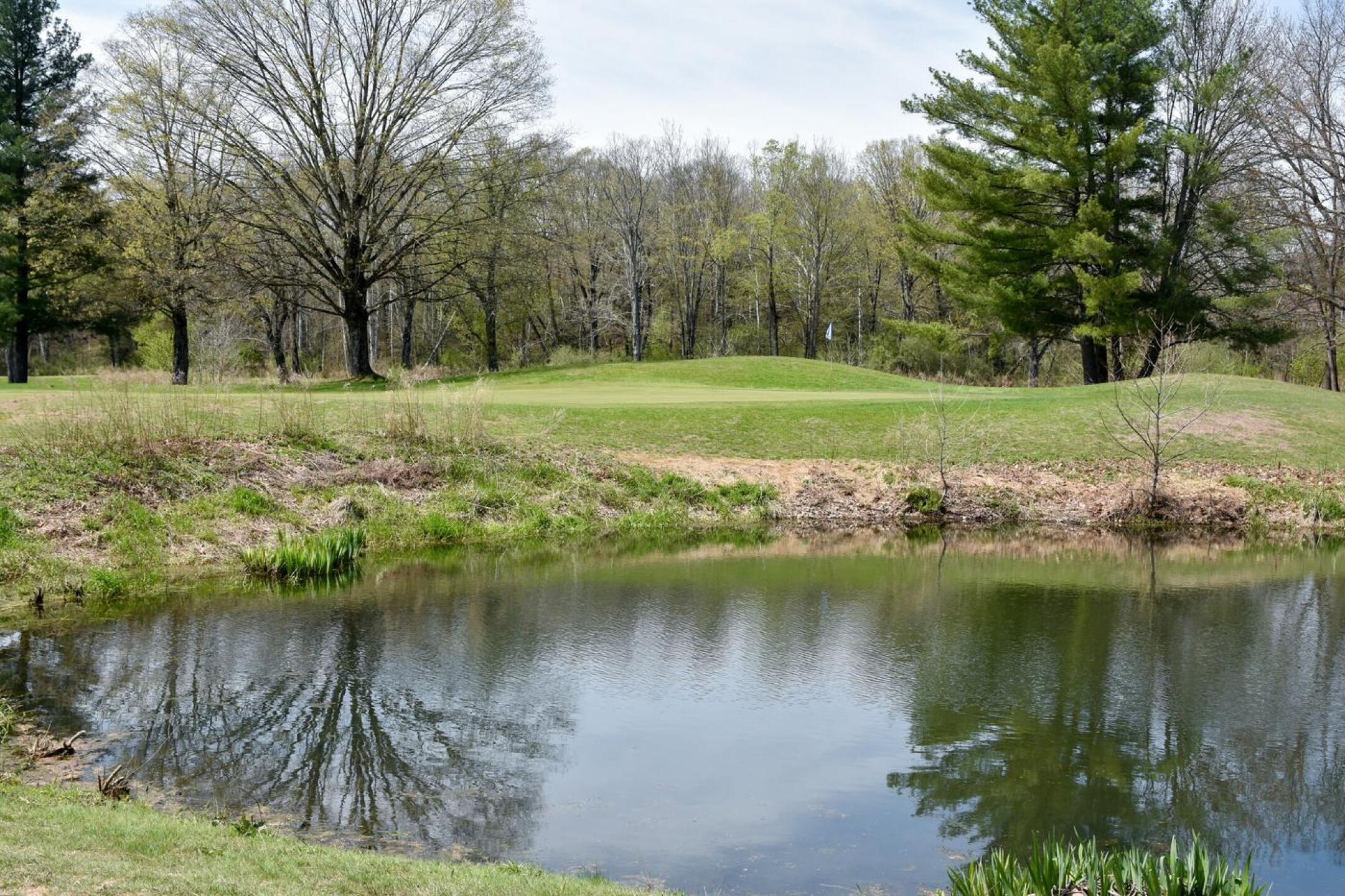 A view of the 188-yard, par-3 fifth (as seen from fairway four). Making par here usually means overcoming challenges. (Photo submitted by AptlyLinked on 04/24/2026)