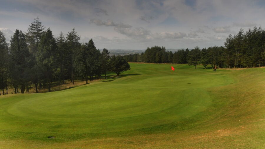 Nelson GC: #5