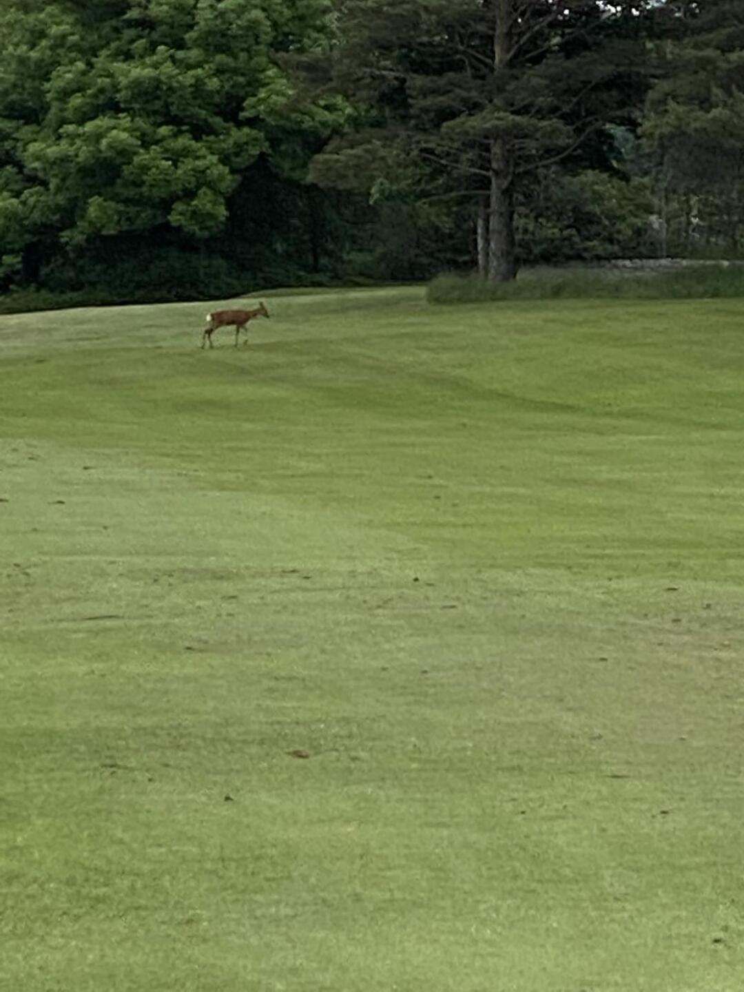 (Photo submitted by Wackyrace66 on 06/22/2021)