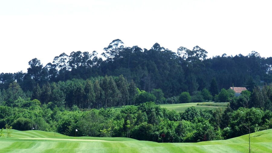 Club de Golf de Mino