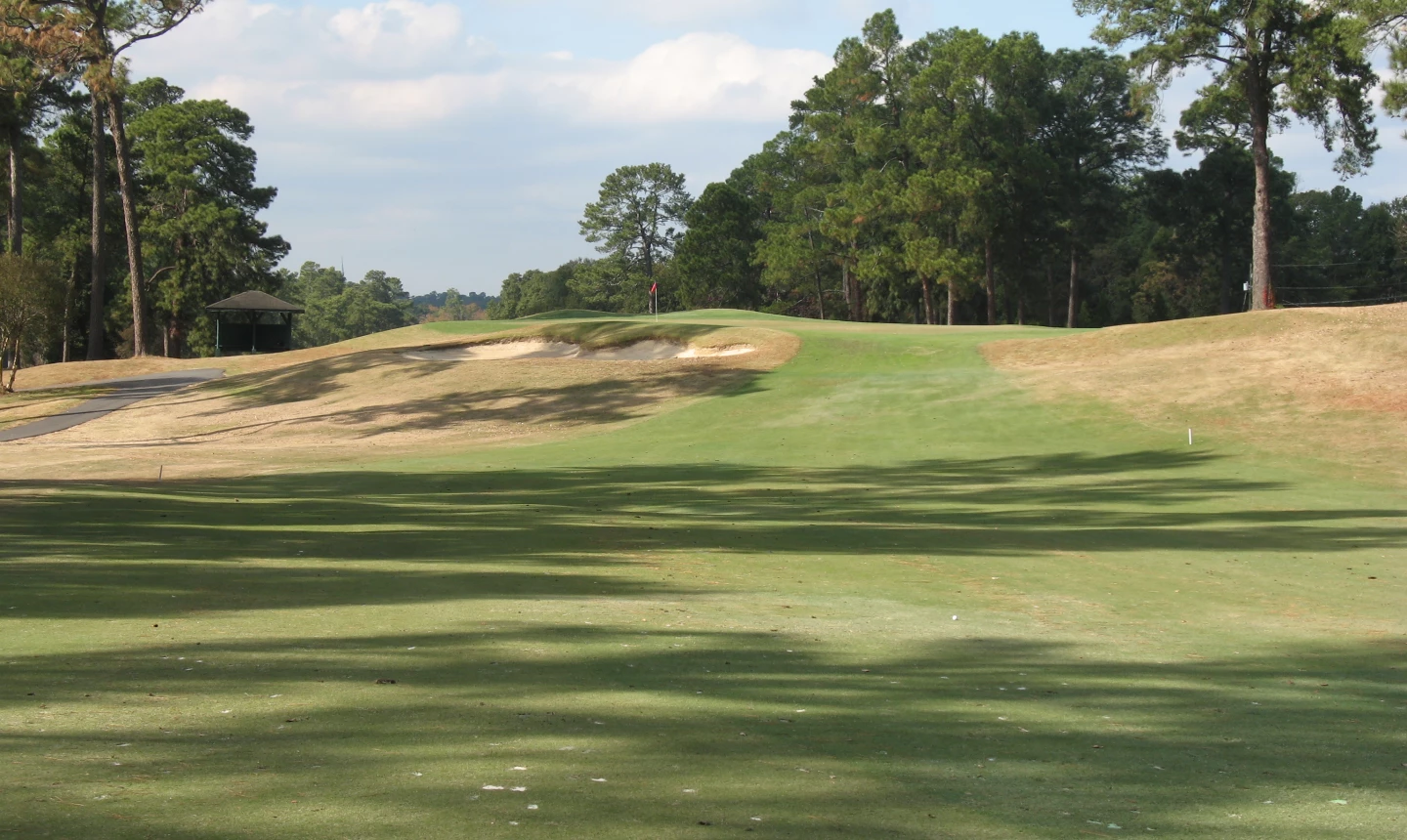 Forest Hills Golf Club - 10th green