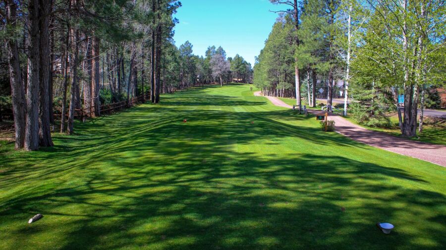 Pinetop Lakes GCC: #6