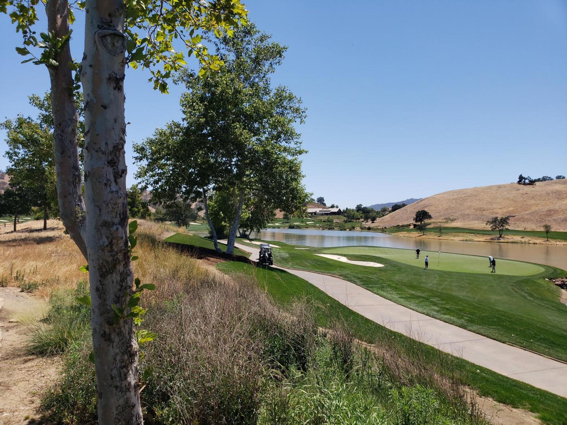 (Photo submitted by Salvador3288451 on 06/03/2021)