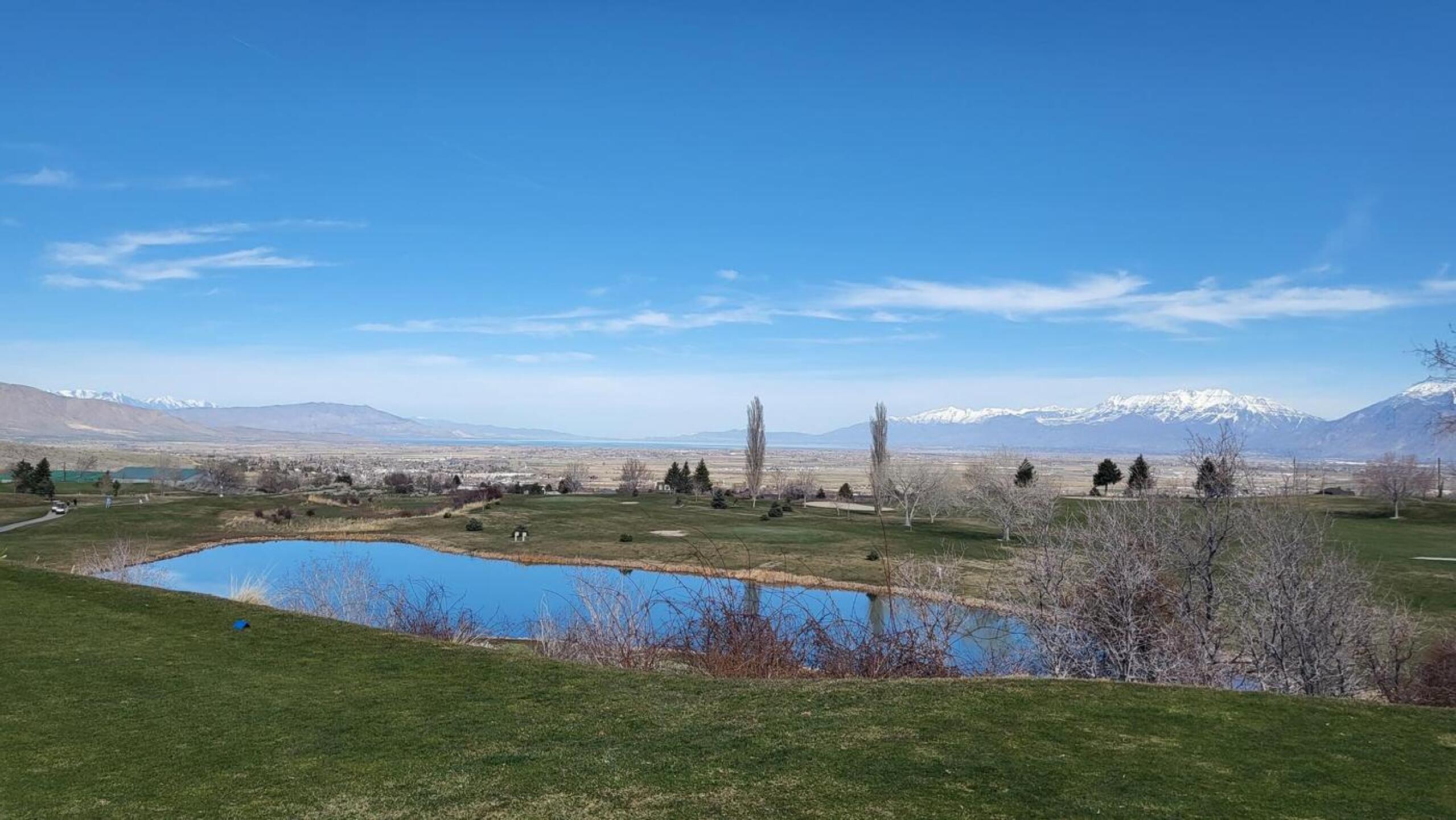 (Photo submitted by darivi1 on 03/31/2022)