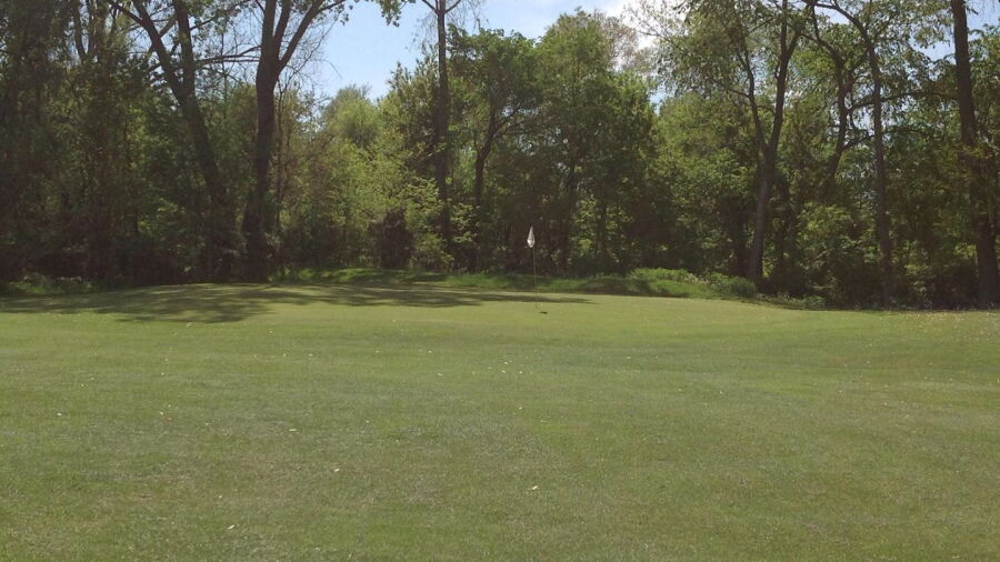 Meadowview CC