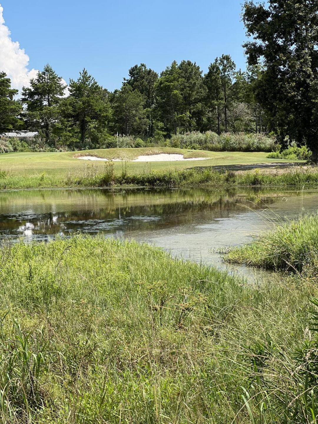 (Photo submitted by Michael7209760 on 06/08/2023)