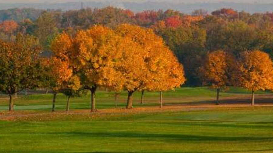 Hamilton Elks CC