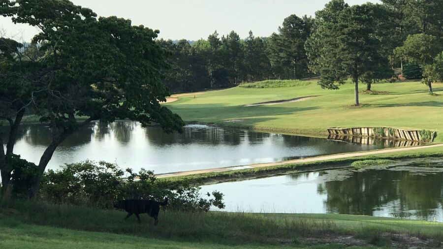 Hyland GC
