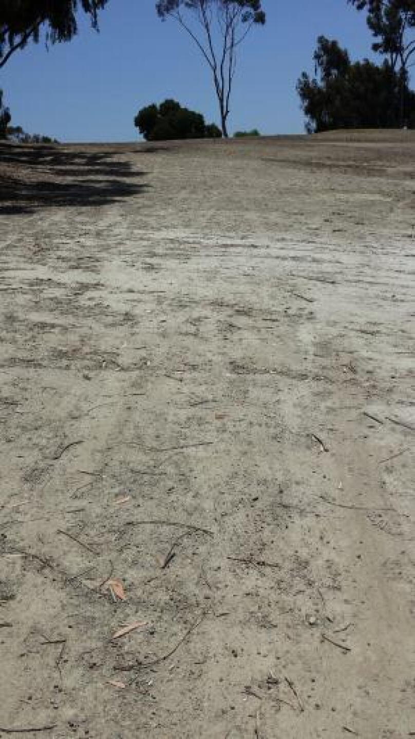 driveway fairway (Photo submitted by u000008122789 on 06/01/2014)
