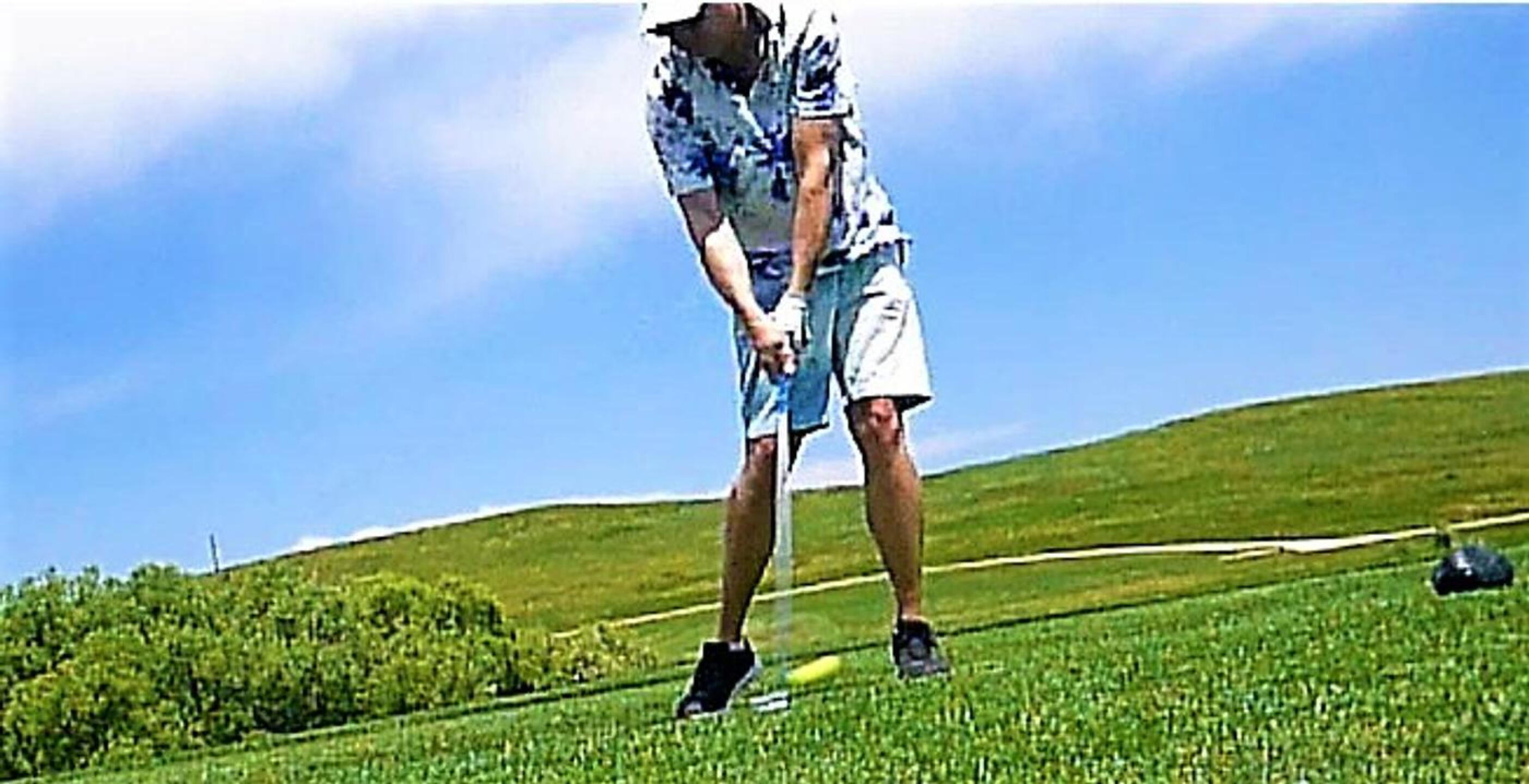 (Photo submitted by DiamondAces on 07/09/2023)