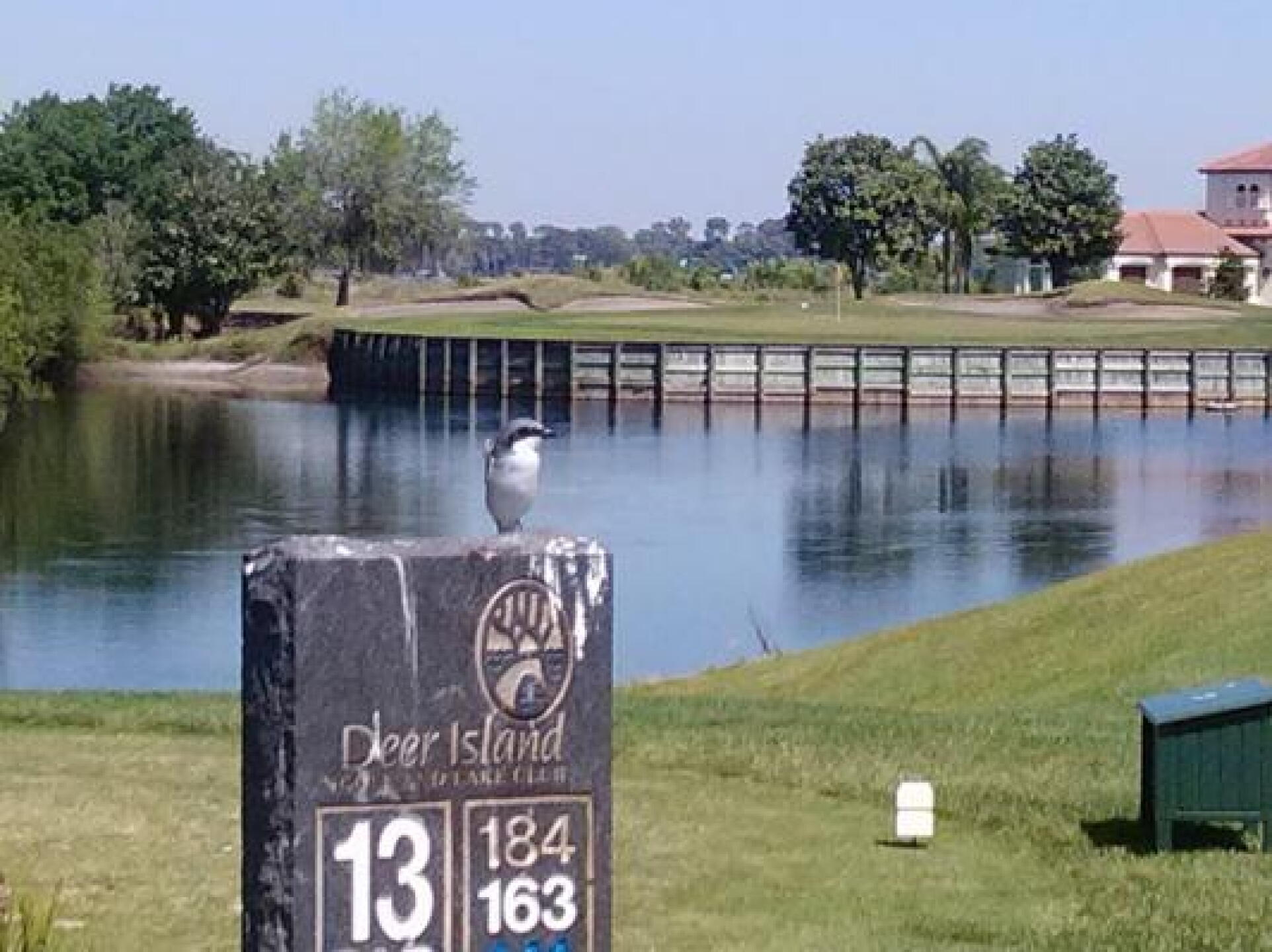 Nice par three. (Photo submitted by acedmonds on 03/18/2013)
