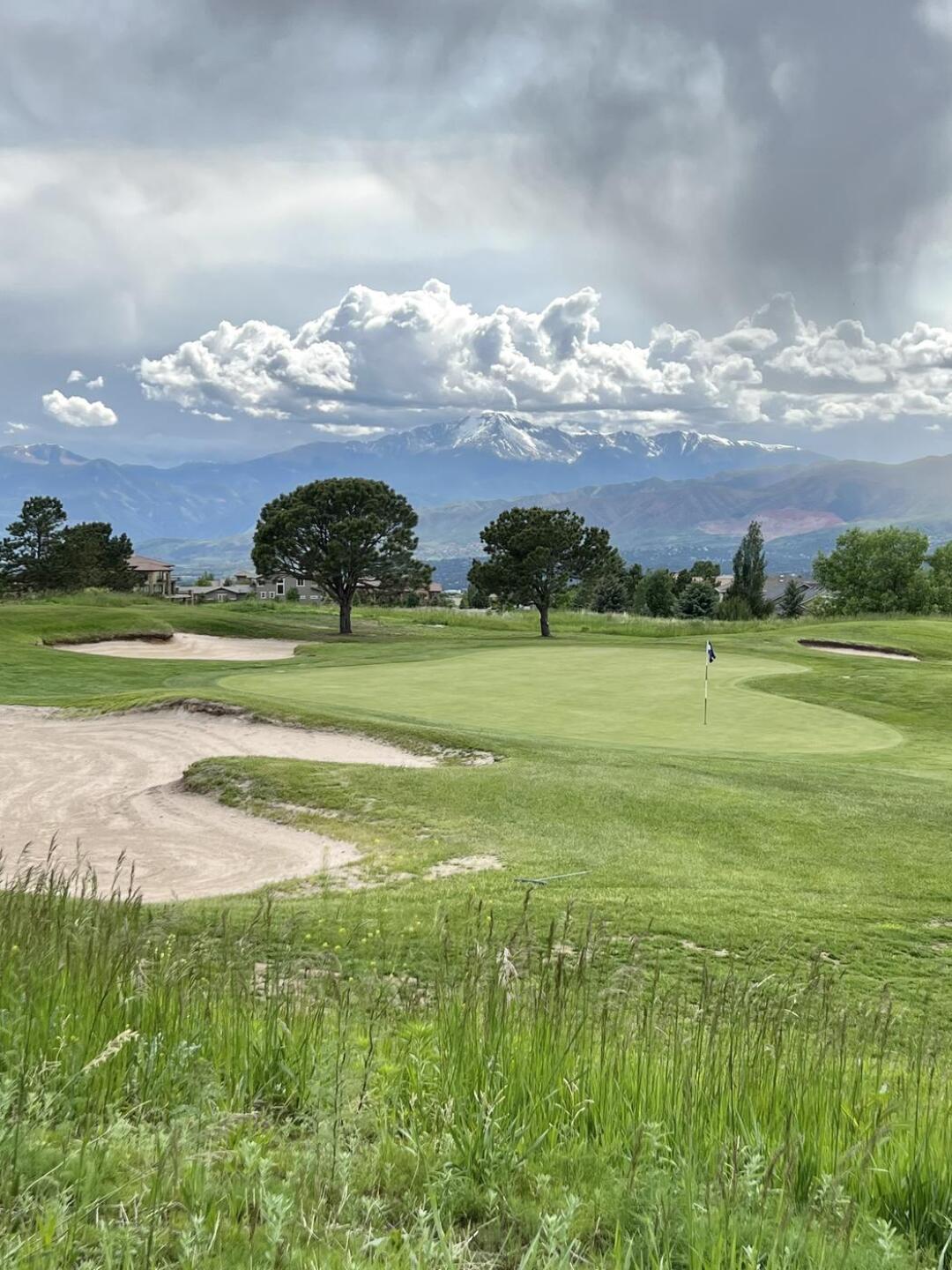 (Photo submitted by Jbold94 on 06/15/2023)