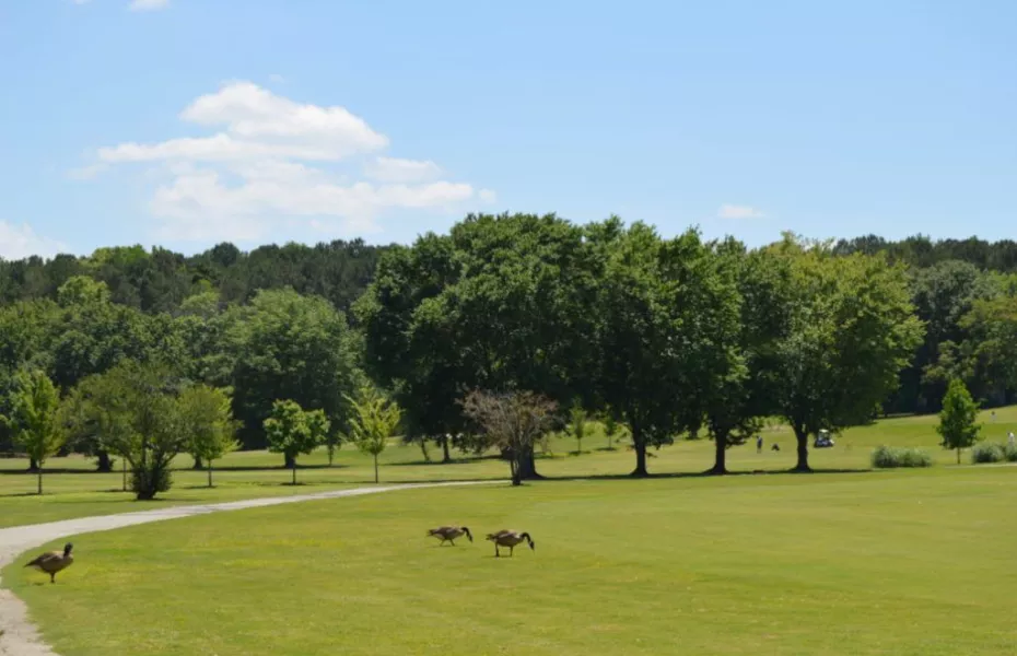 Browns Mill GC