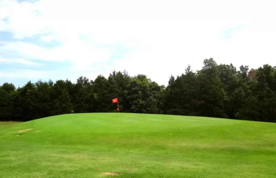 Lost Woods GC: #8
