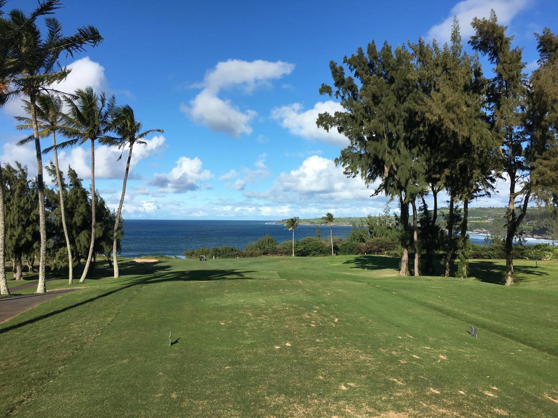 (Photo submitted by JayCoffinGC on 01/20/2017)