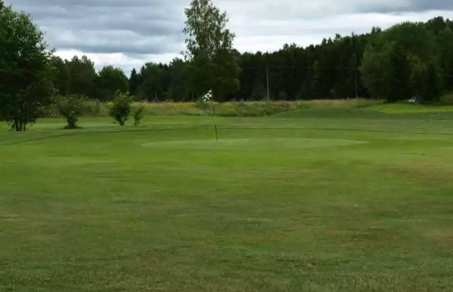 Arboga GC - Short: #2